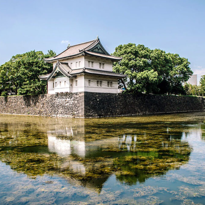 Tokyo Castle & Imperial PalaceーShogun Walking Tour