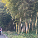 Tokyo Castle & Imperial PalaceーShogun Walking Tour
