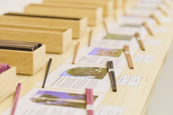 Asakusa Premium Japanese Chopstick Making Workshop