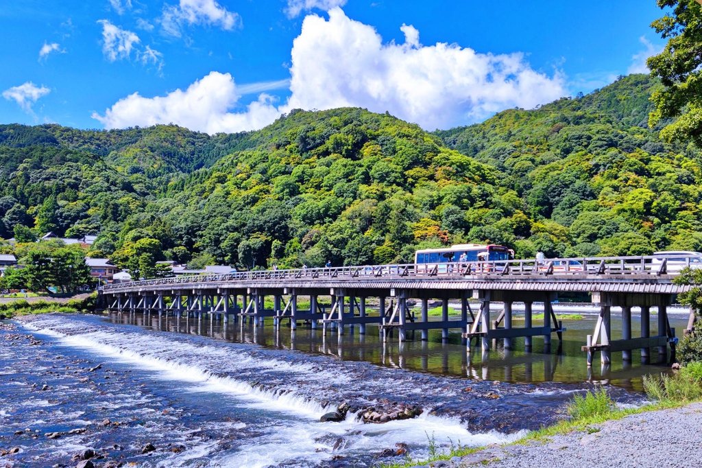 Lush green bamboo canopy in summer at Arashiyama