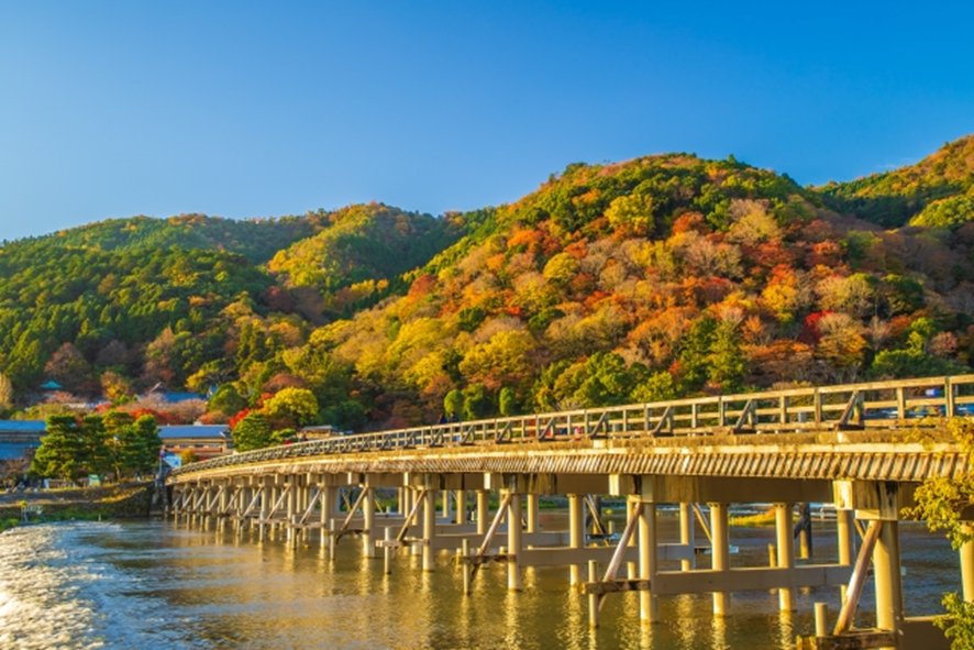 Autumn foliage and bamboo at Arashiyama