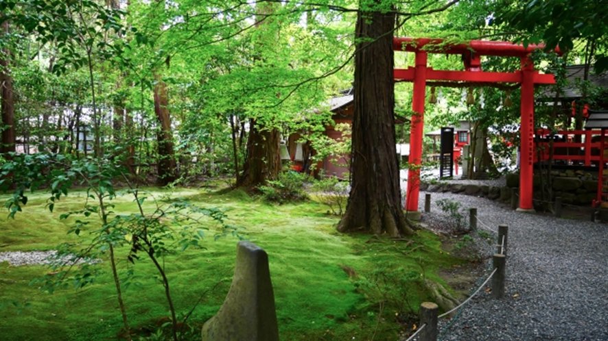 Arashiyama bamboo grove at different times of day