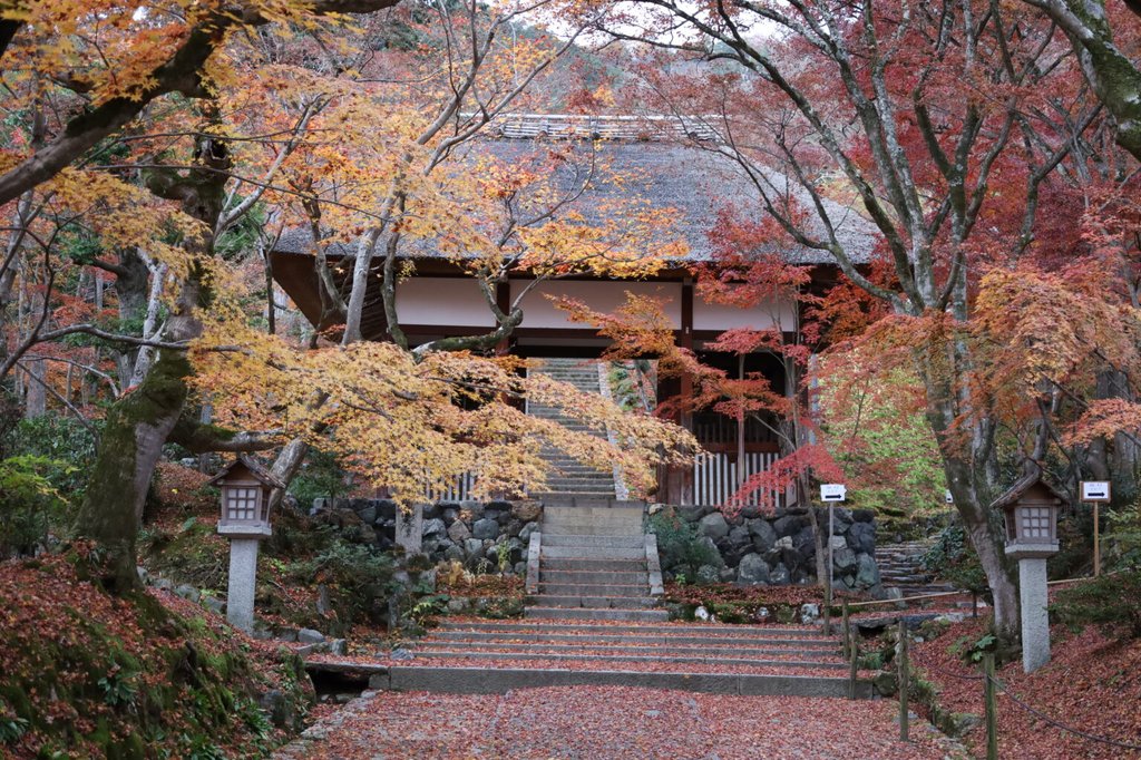 Autumn foliage at Jojakko-ji Temple