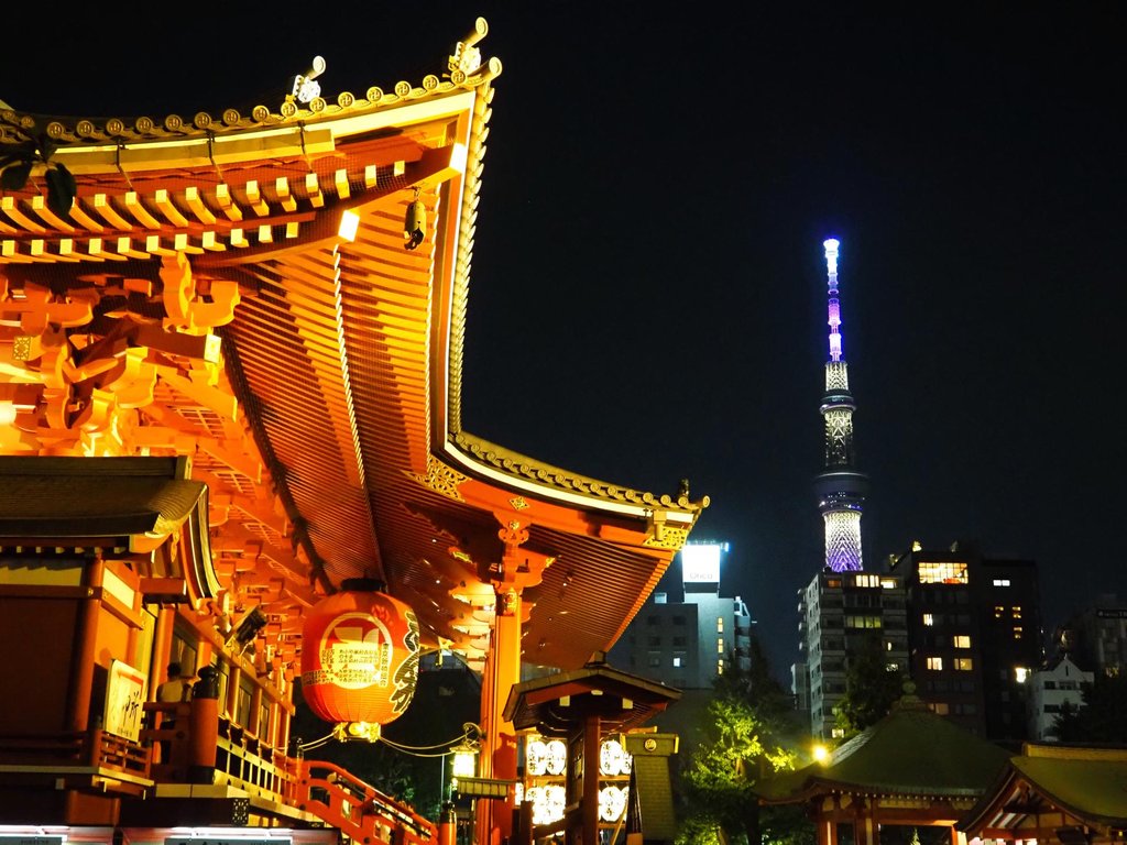 Guided food tour experience in Asakusa