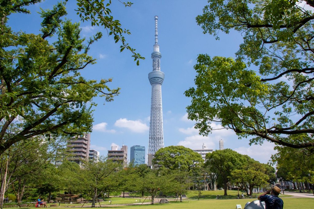 Sumida Park playground with Tokyo Skytree view