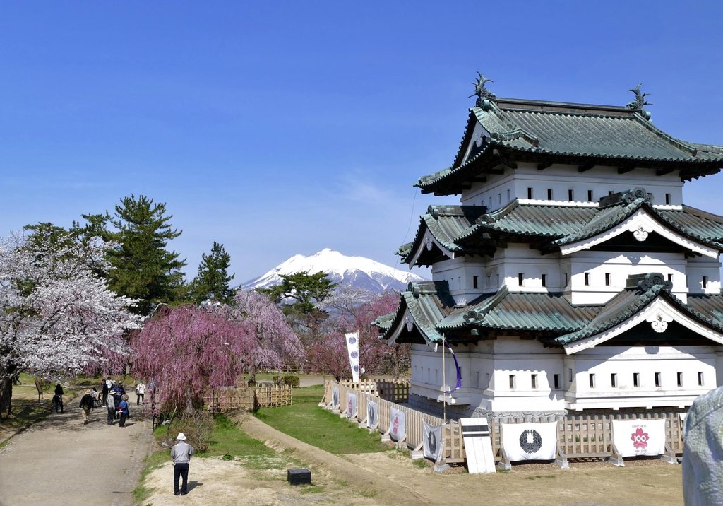 Hirosaki Castle surrounded by cherry blossoms
