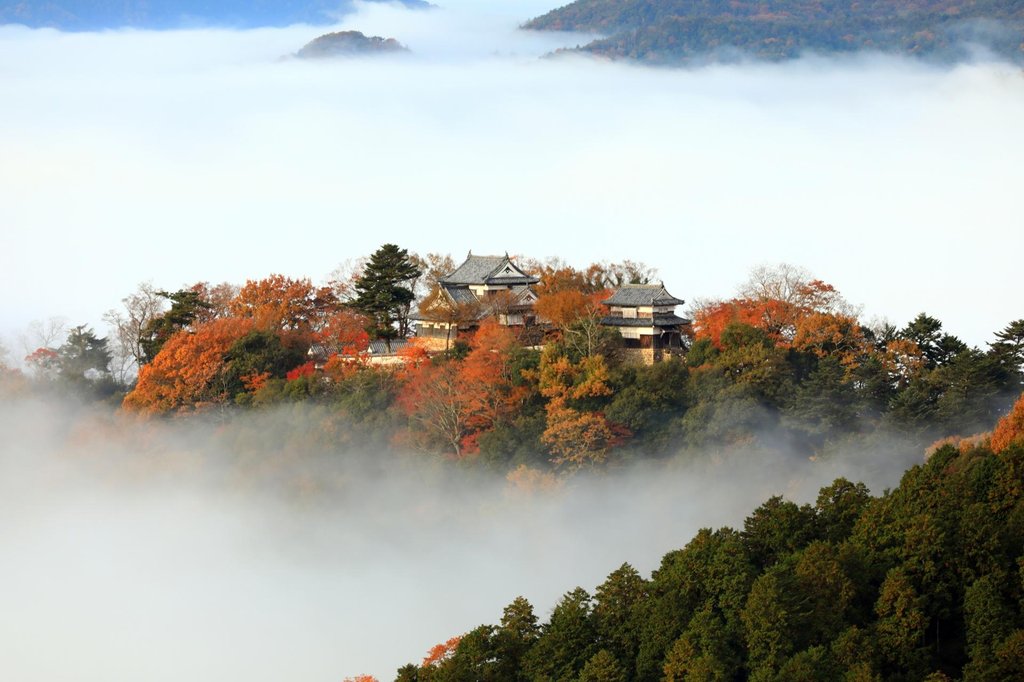 Bitchu Matsuyama Castle above sea of clouds