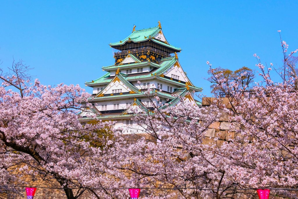 English-guided castle tours in Japan