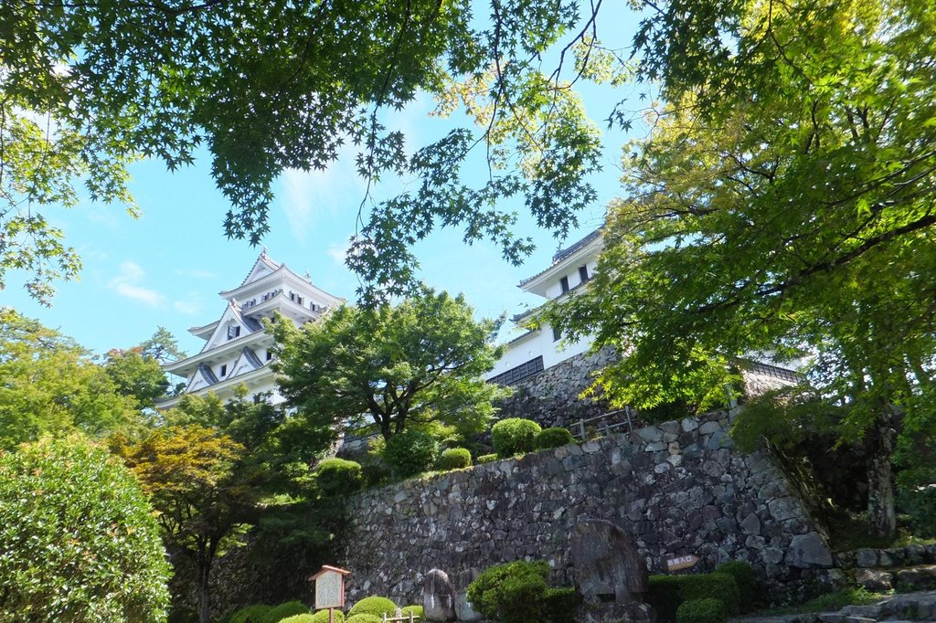 Five National Treasure castles in Japan