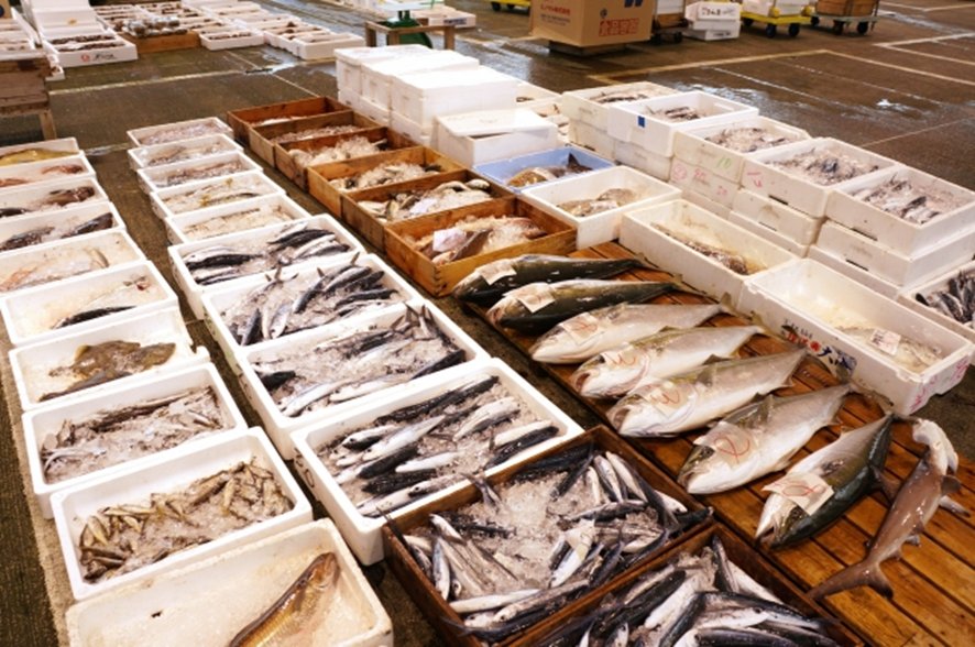 Tsukiji Outer Market street food stalls