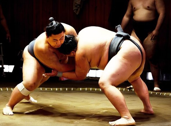 Sumo wrestling experience in Osaka