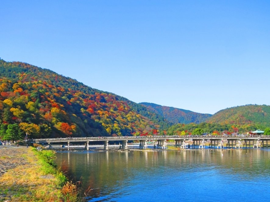 Arashiyama bamboo grove in Kyoto