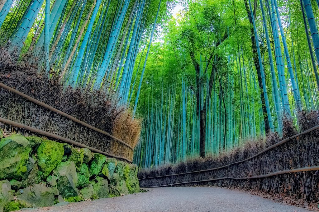 Successful incentive trip group at Japanese landmark