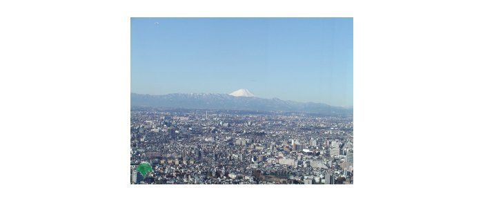 Tokyo Metropolitan Government Building Observatories view