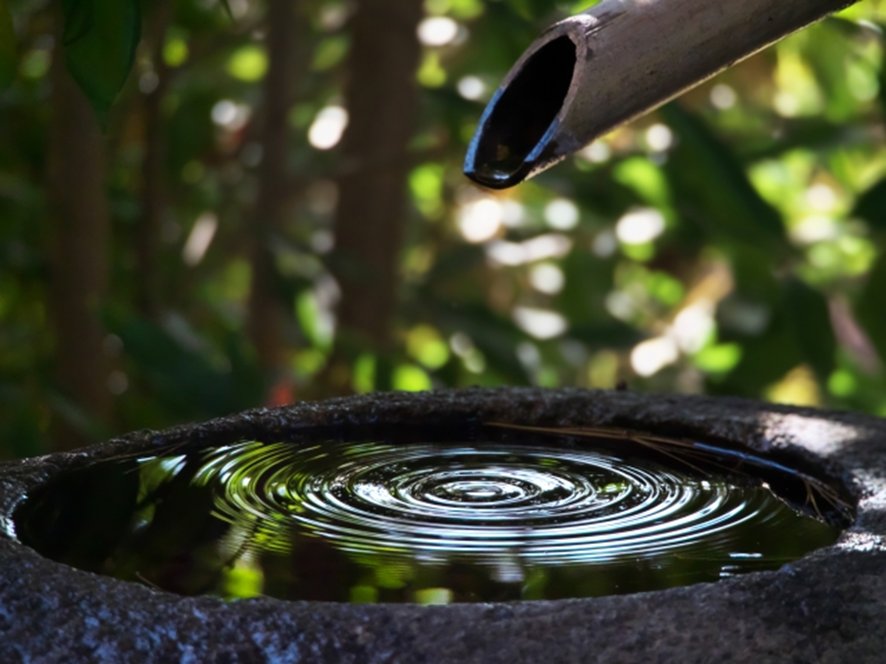 Stone water basin tsukubai in tea garden roji
