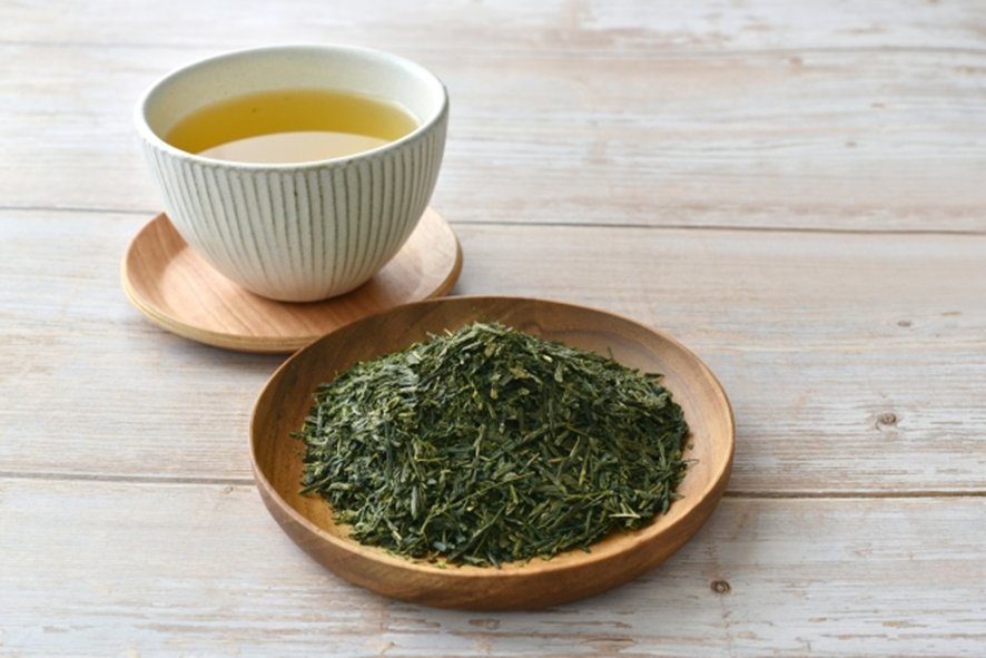 Ancient tea cultivation in Japanese temple garden