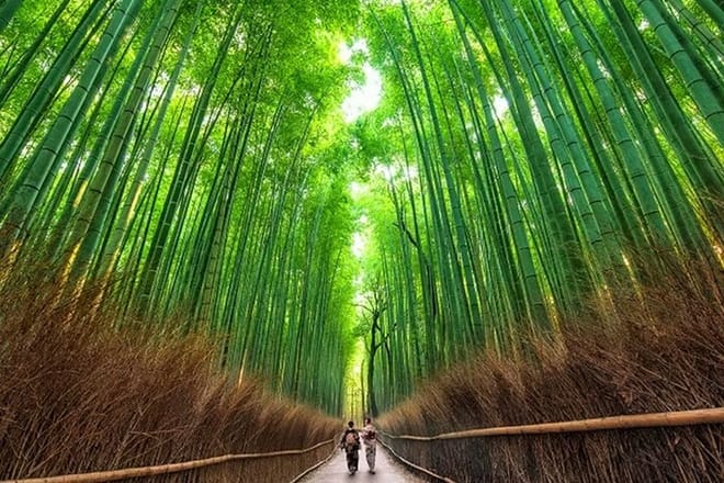 Kyoto Arashiyama Chopstick Making Workshop