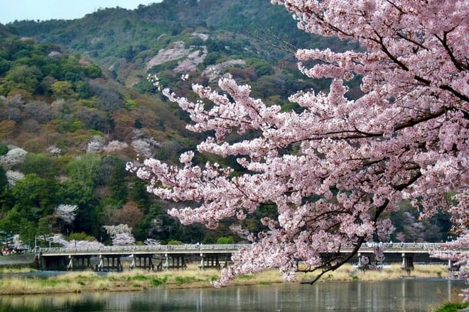 Kyoto: Arashiyama UNESCO Walking Tour with Admission