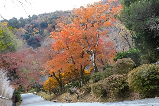 Kyoto: Arashiyama UNESCO Walking Tour with Admission