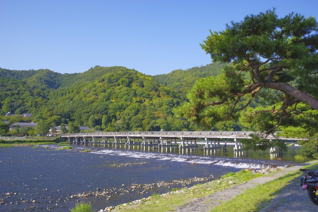 Choosing the right Kyoto Arashiyama walking tour