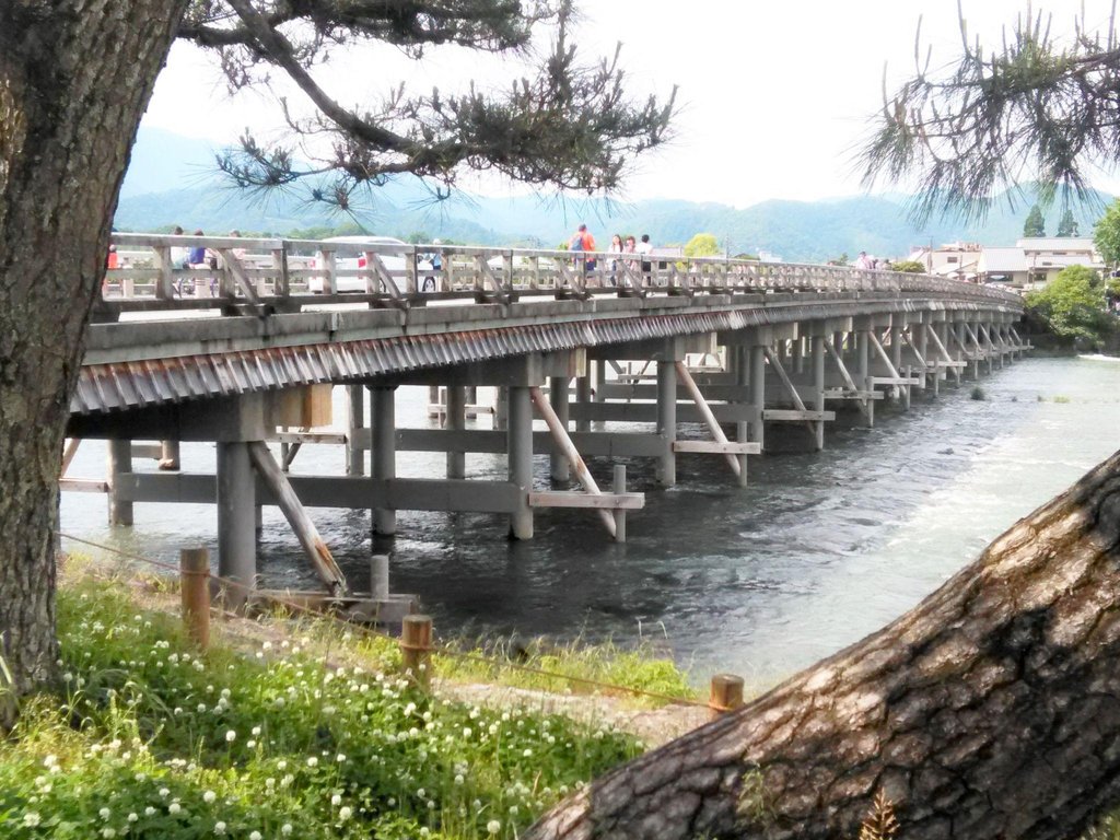 Arashiyama walking tour passing through bamboo grove