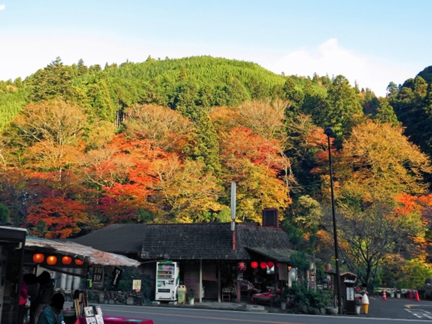 Mountain temples with early autumn foliage in Kyoto