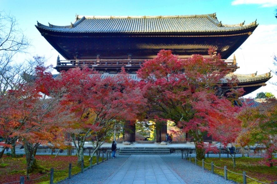 City temples at peak autumn color in mid-November Kyoto