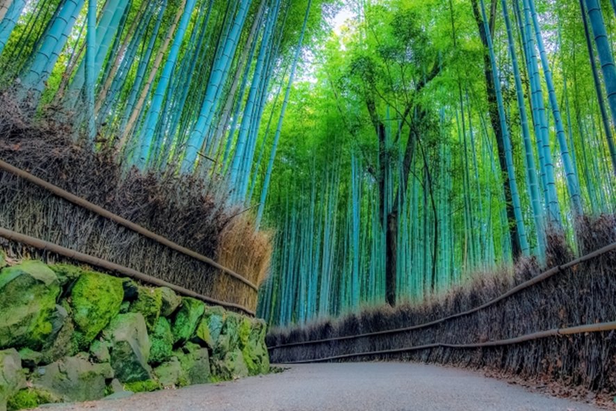 One-day itinerary route from Arashiyama to Gion in Kyoto