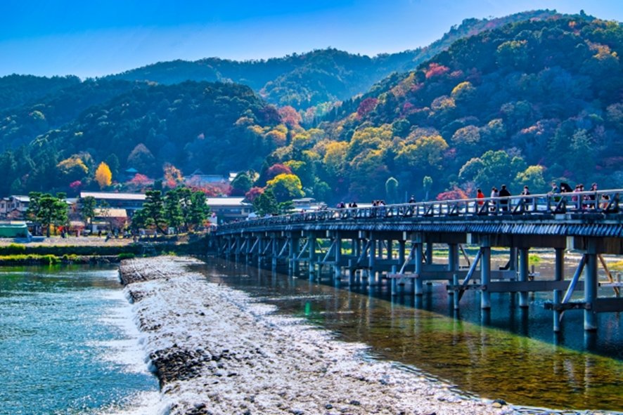 Recommended guided tour of Arashiyama in November