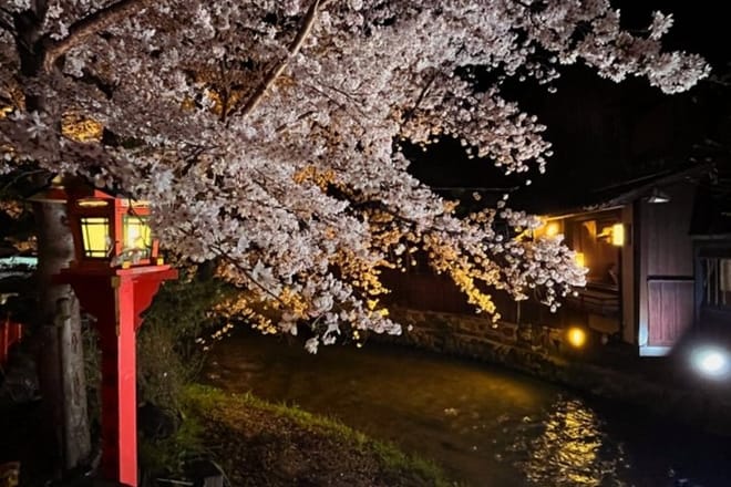 Kyoto: Izakaya & Pub Crawl Guided Walking Tour