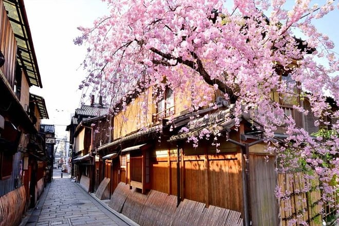 Kyoto: Izakaya & Pub Crawl Guided Walking Tour