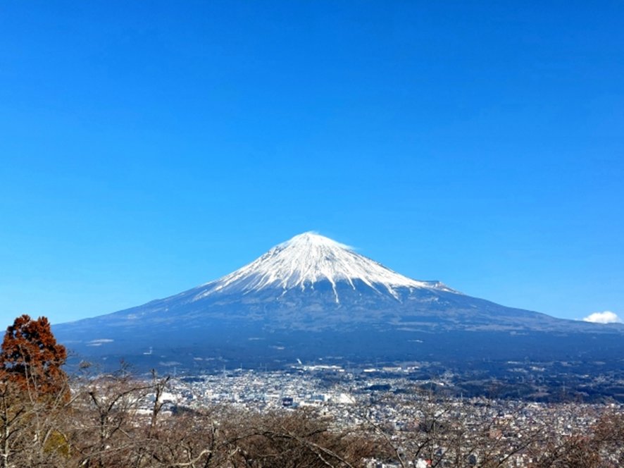 Mt. Fuji day trip from Tokyo route options