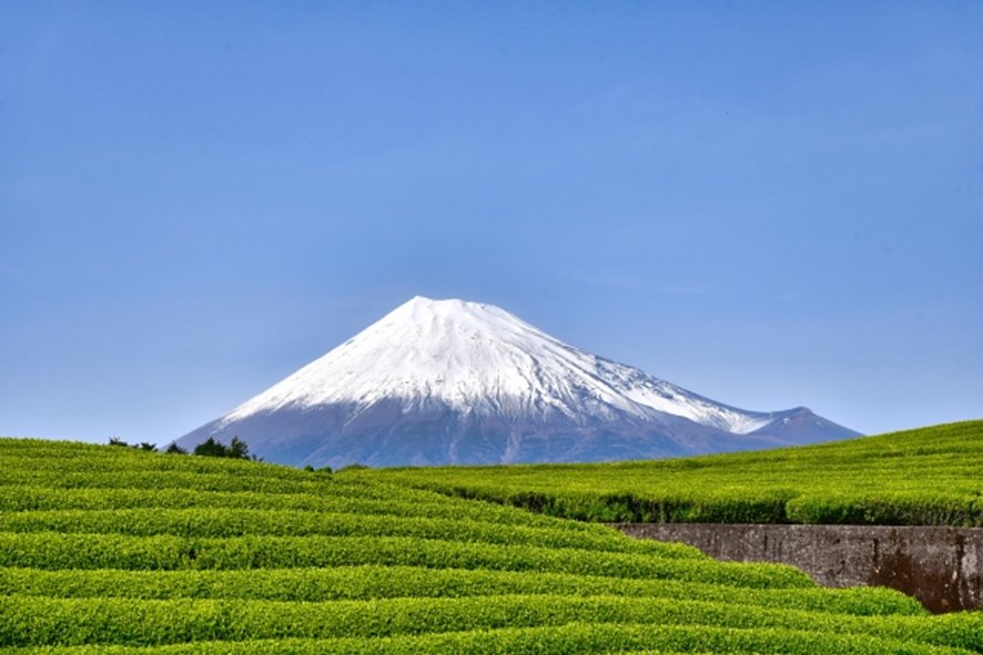 Challenges of planning a Mt. Fuji day trip independently
