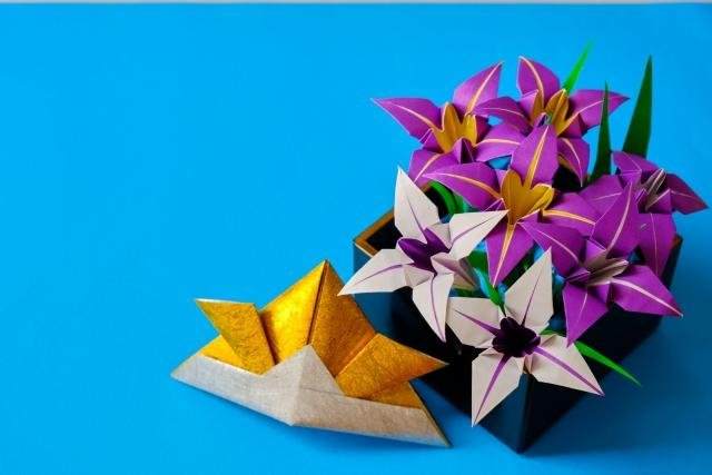 Complex origami models and advanced paper folding