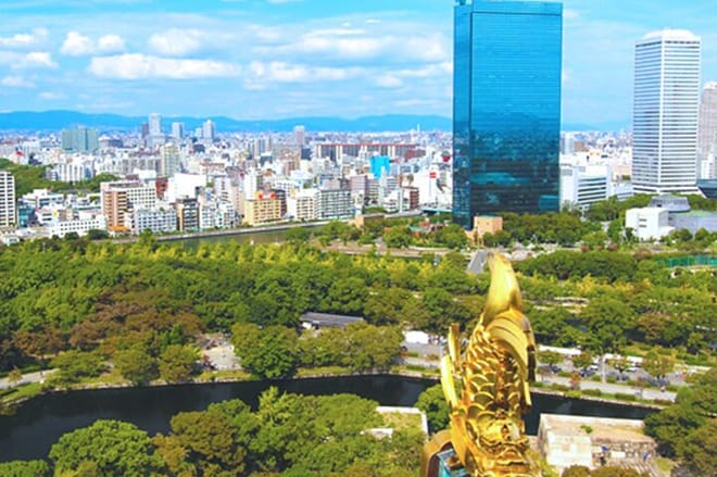 Osaka Castle Walking Tour and Castle Tower Admission