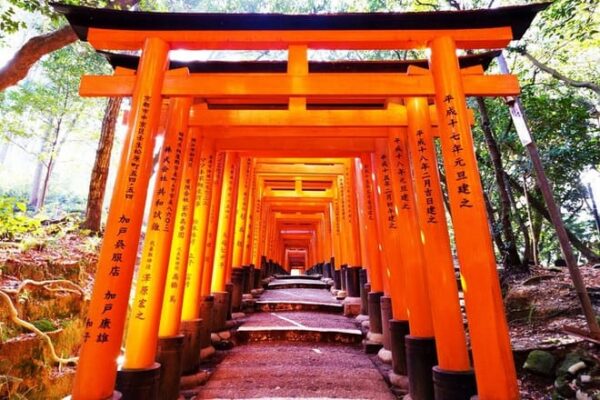 Osaka Kyoto: Nijo Castle, Nara, Arashiyama, Day Trip by Bus