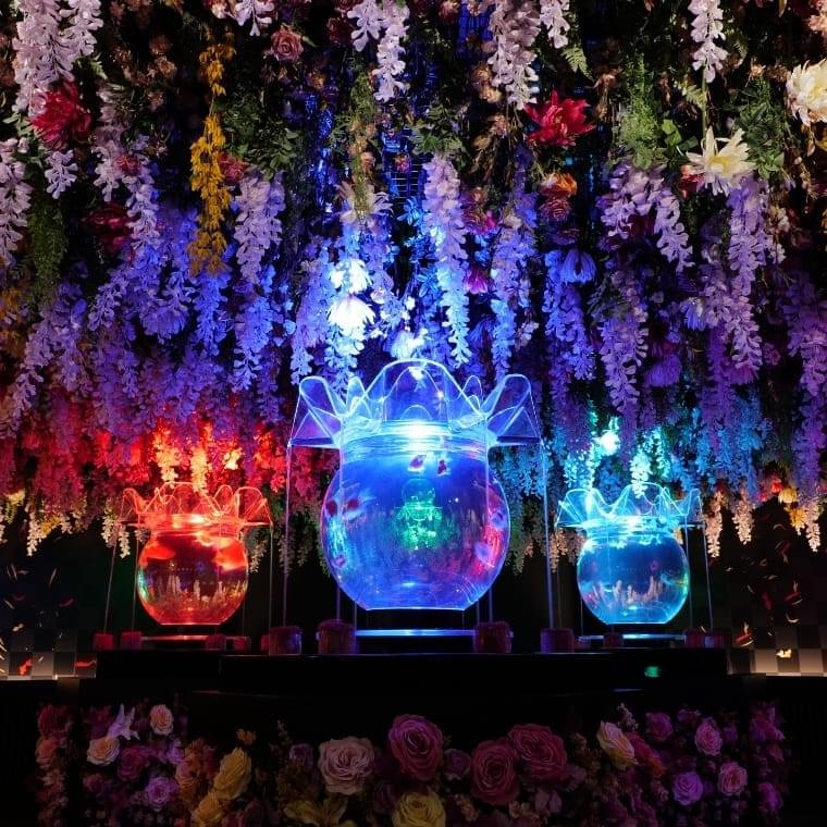 Art Aquarium Museum GINZA goldfish exhibition