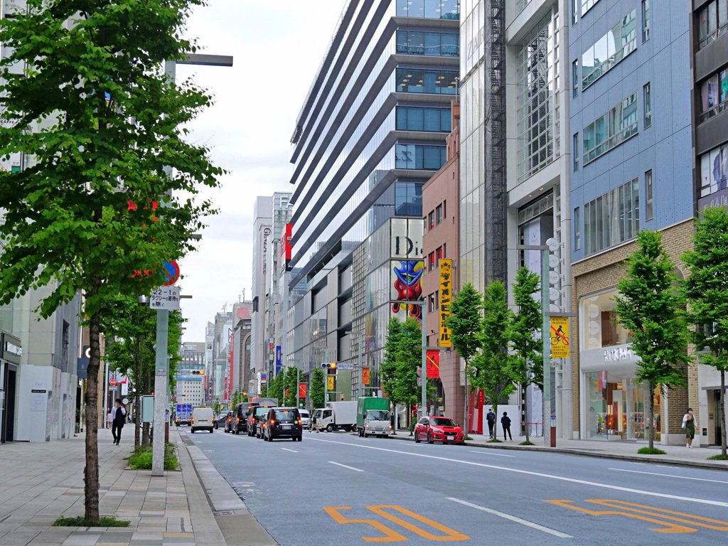 Enjoying shopping in Tokyo
