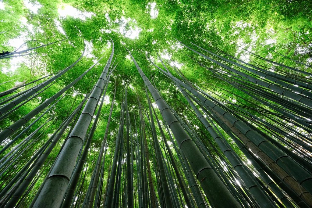 Scenic view of Arashiyama with mountains and traditional architecture