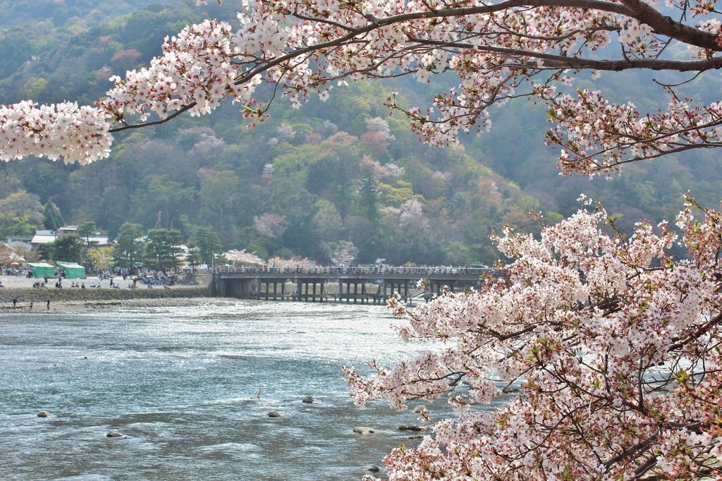 Visitors walking through Arashiyama streets