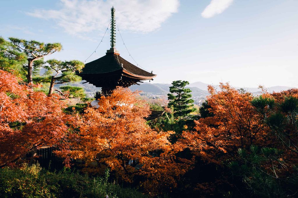 Jojakko-ji Temple pagoda surrounded by autumn foliage