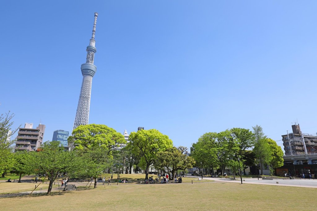Sumida Park with Tokyo Skytree view
