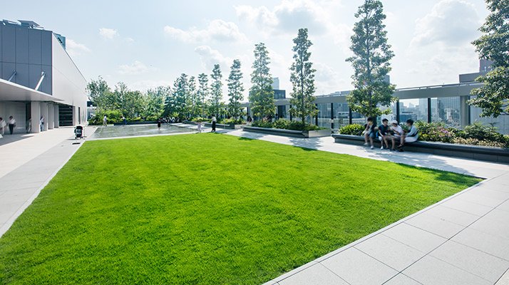 GINZA SIX rooftop garden with city views