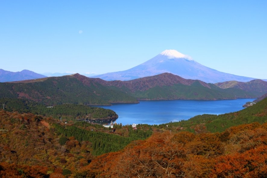 Cherry blossoms and autumn foliage in Hakone