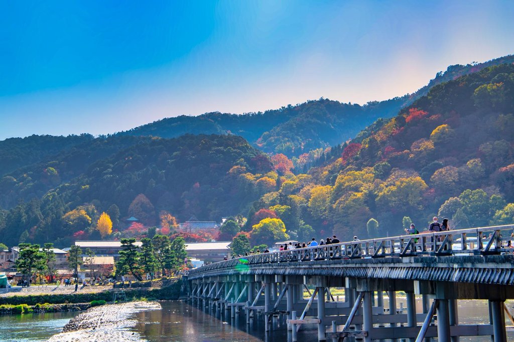 Families planning Kyoto itinerary together