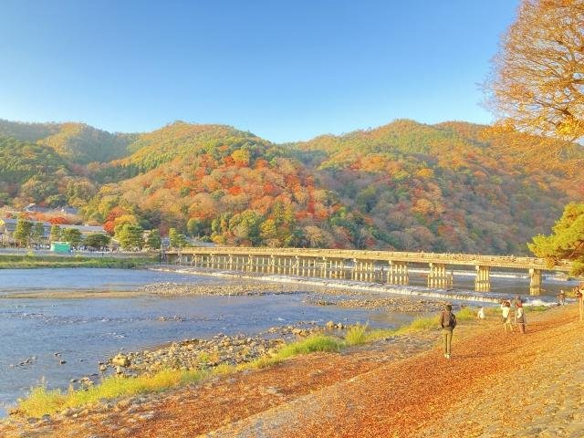 Bamboo Grove in Arashiyama Kyoto