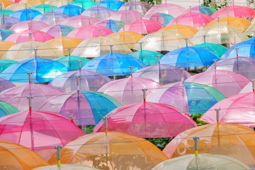 Indoor activities in Shibuya on rainy days
