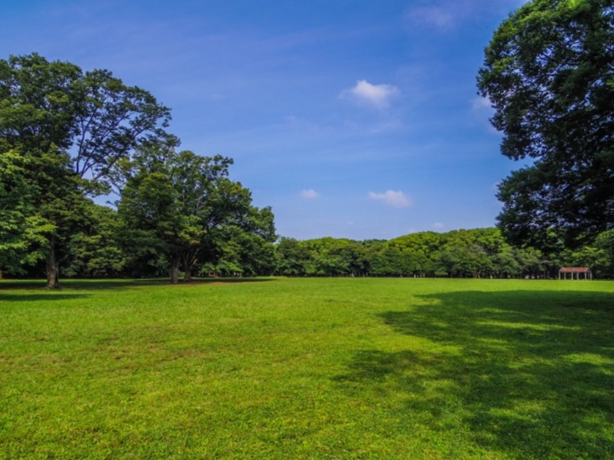 Family picnic at Yoyogi Park