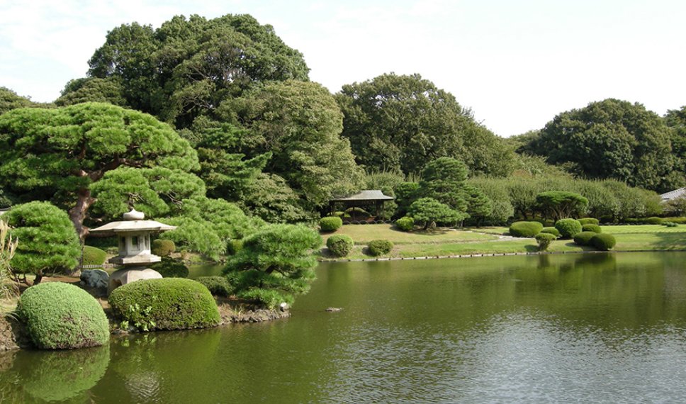 Shinjuku Gyoen National Garden landscape view