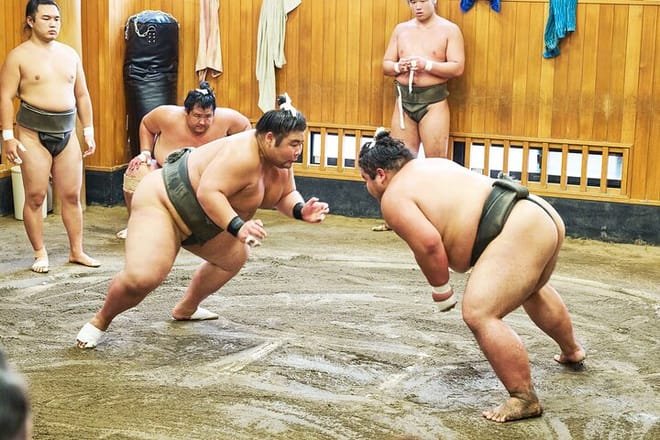 Sumo morning practice viewing at stable